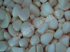 IQF garlic clove