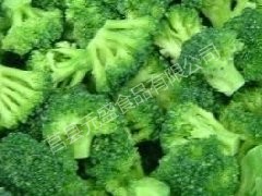 IQF broccoli