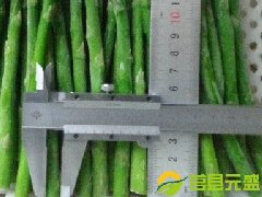 冻绿芦笋17cm 8-10mm