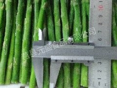 Frozen green asparagus 17cm 8-10mm